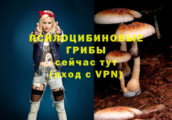 первитин Армянск