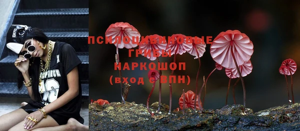 дживик Арсеньев