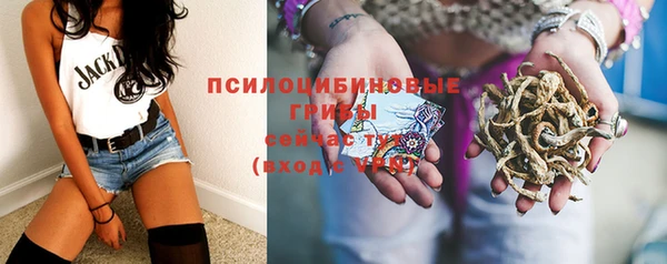 таблы Алзамай