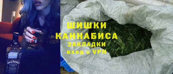 дживик Арсеньев
