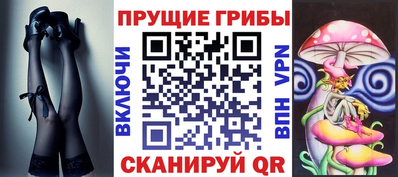 купить наркотики сайты  Нижнеудинск  Псилоцибиновые грибы Cubensis 