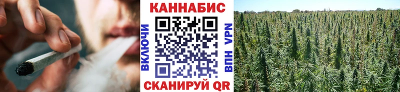 Конопля индика  кракен зеркало  Нижнеудинск 
